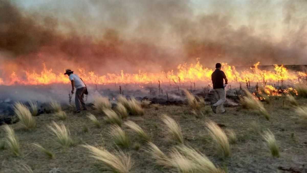 altText(Incendios en La Pampa: reportan 963.016 hectáreas quemadas y pérdidas por más de $1000 millones)}