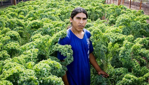 Arraigo y Agroecología para crear más soberanía alimentaria