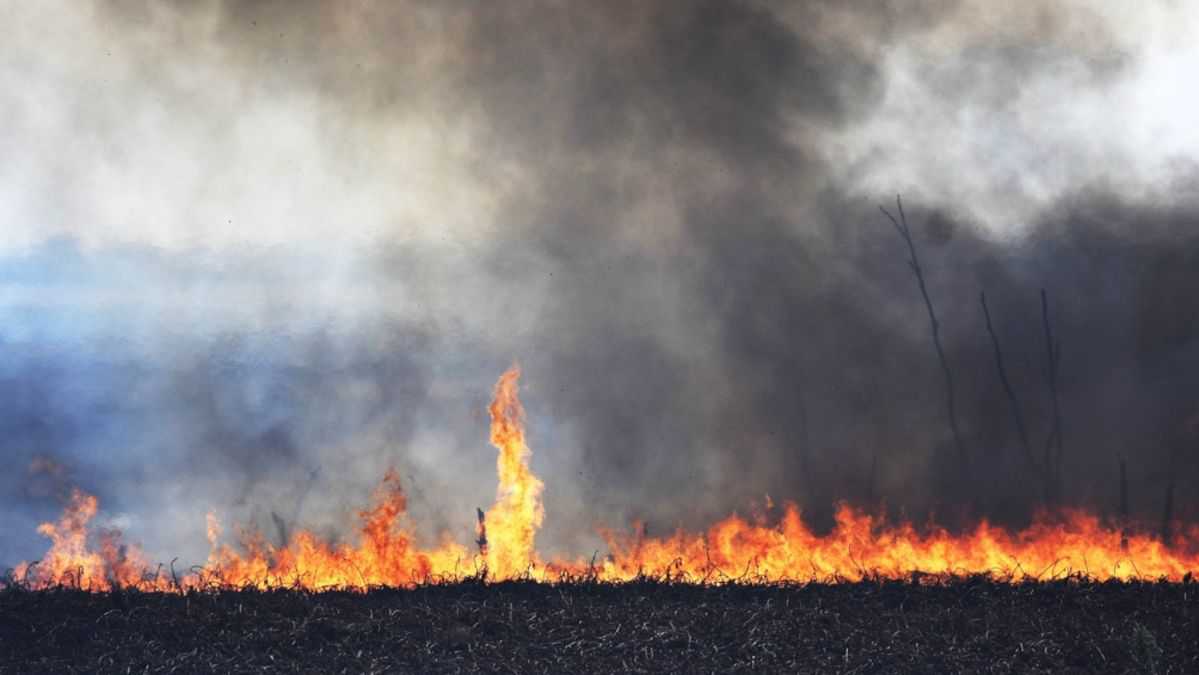 <p>Para controlar los focos de incendios en Tucumán, se sumarán aviones hidrantes de uso agrícola y forestal.</p> (Télam)