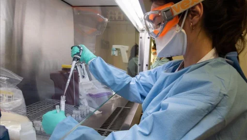 Científicos argentinos desarrollan un kit que acelera los testeos
