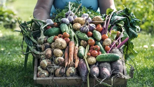 El Gobierno creará un fideicomiso para estabilizar los precios de frutas y verduras