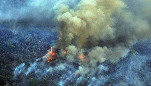 altText(Bandera verde de Bolsonaro para quemar el Amazonas: en julio hubo más de 5000 incendios)}