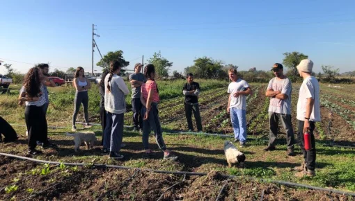 Paraíso en el agroinfierno: ¿Cómo hacer para producir agroecológico en el AMBA?