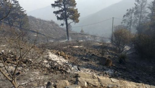 altText(Cinco detenidos por los incendios forestales en Córdoba: ya no hay focos activos)}