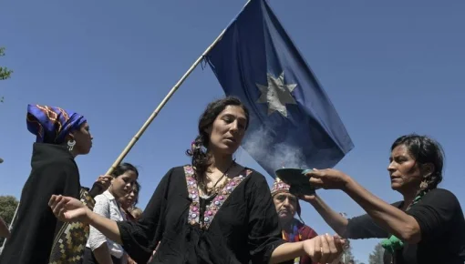 FdT y originarios repudiaron la detención de las cuatro mujeres mapuche