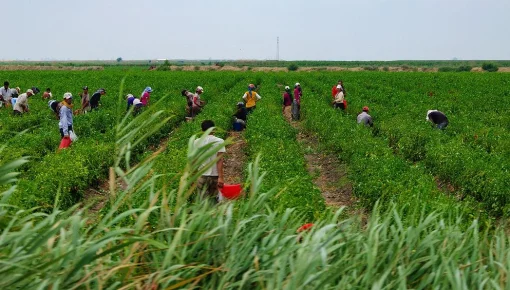 Se viene el Primer Congreso Nacional por la Tierra y la Producción
