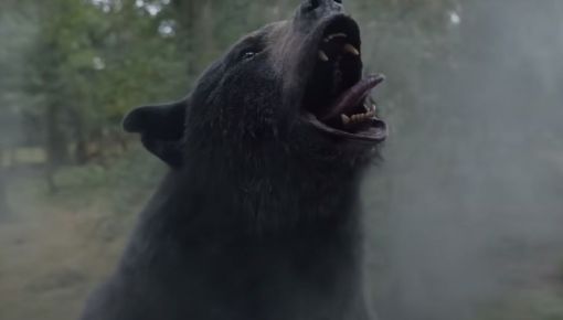 ¿Una película sobre un oso cocainómano? Claro que sí: llega 'Cocaine Bear'