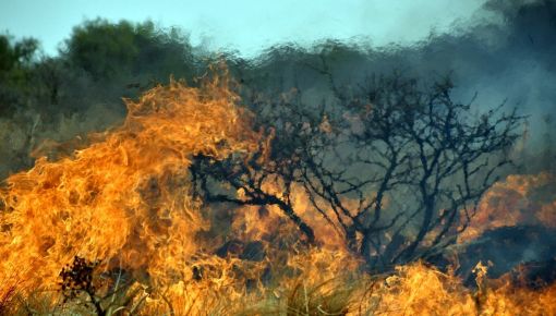 Tierra del Fuego: ya hay más de 5 mil hectáreas arrasadas por los incendios