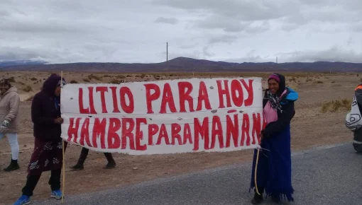 Jujuy sangra por culpa del litio