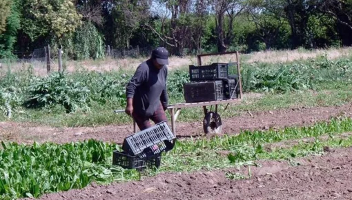 Rescataron a siete víctimas de trata y explotación laboral en el campo