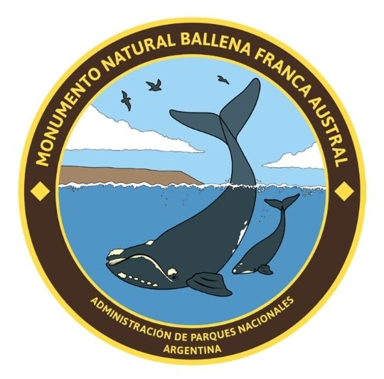 La ballena franca austral, considerada monumento natural en 1984 debido a encontrarse en peligro de extinción, se puede avistar desde la costa marplatense.