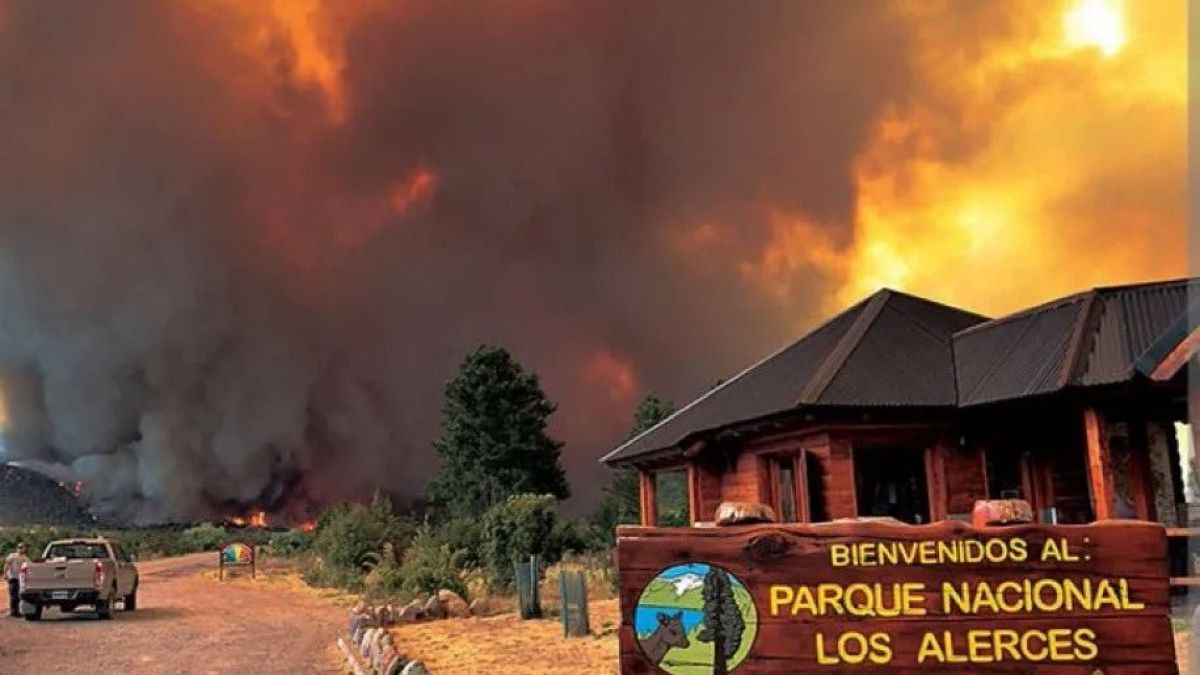 altText(El incendio en Los Alerces sigue activo y ya consumió casi 8.000 hectáreas)}