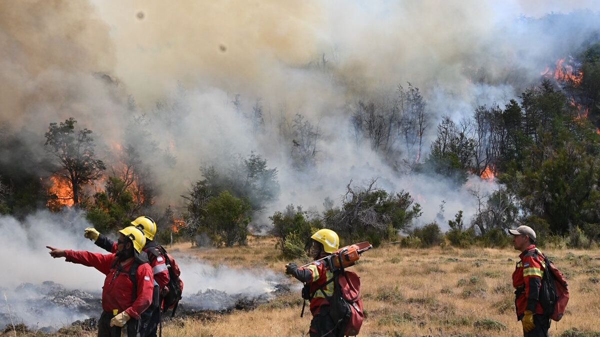 altText(Parque Nacional Nahuel Huapi: denuncian fogones en zonas no autorizadas)}