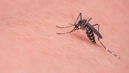 Dengue descontrolado en CABA: habilitan unidades febriles en 18 hospitales