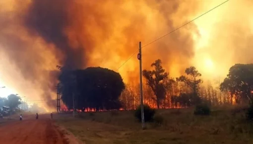 Incendios forestales: el fuego también llegó a Entre Ríos