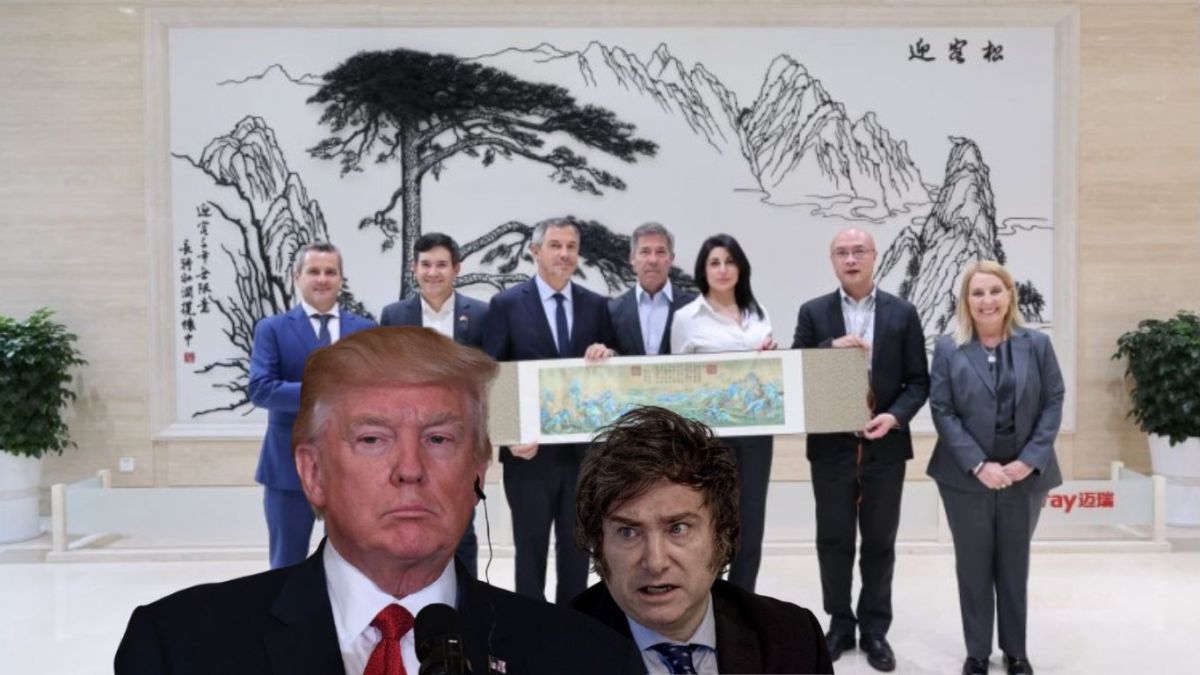 Escándalo por diputados libertarios que viajaron a China: complican la relación Milei-Trump