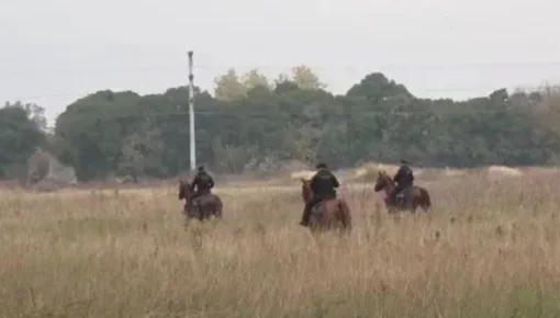 Caso Agostina Vega: un misterioso mensaje y un operativo gigante sacuden Córdoba