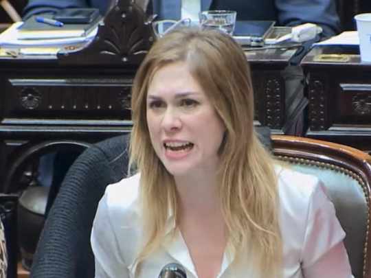 La declaración jurada de Lilia Lemoine tampoco tiene los patitos en fila